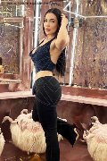 Foto Gabriella Hott Annunci Girl Bergamo 3930121014 - 7