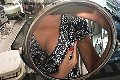 Firenze  Stella Lover 334 31 81 150 foto selfie 8