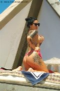 Foto Ilenia Annunci Girl Verbania 3209767007 - 1